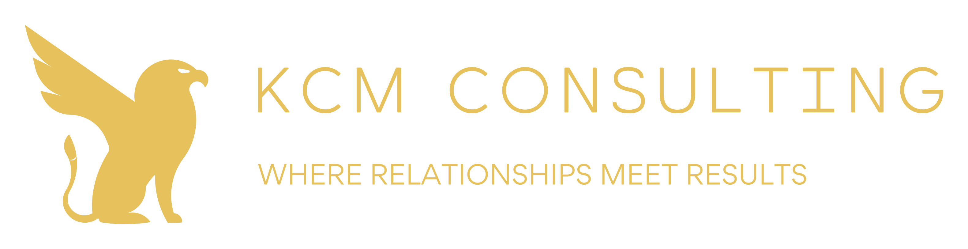 KCM Consulting